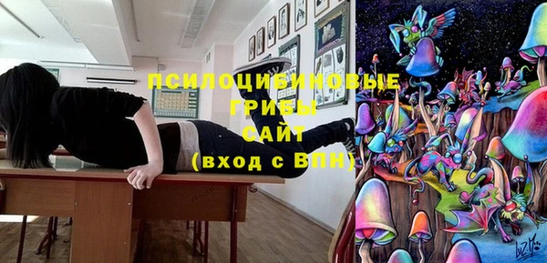 молекула духа Навашино