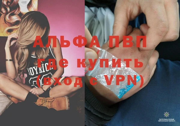 винт Надым