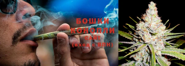 молекула духа Навашино