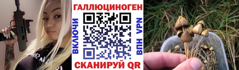 Галлюциногенные грибы прущие грибы Купить закладки Сергач